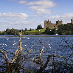 S5 Linlithgow loch